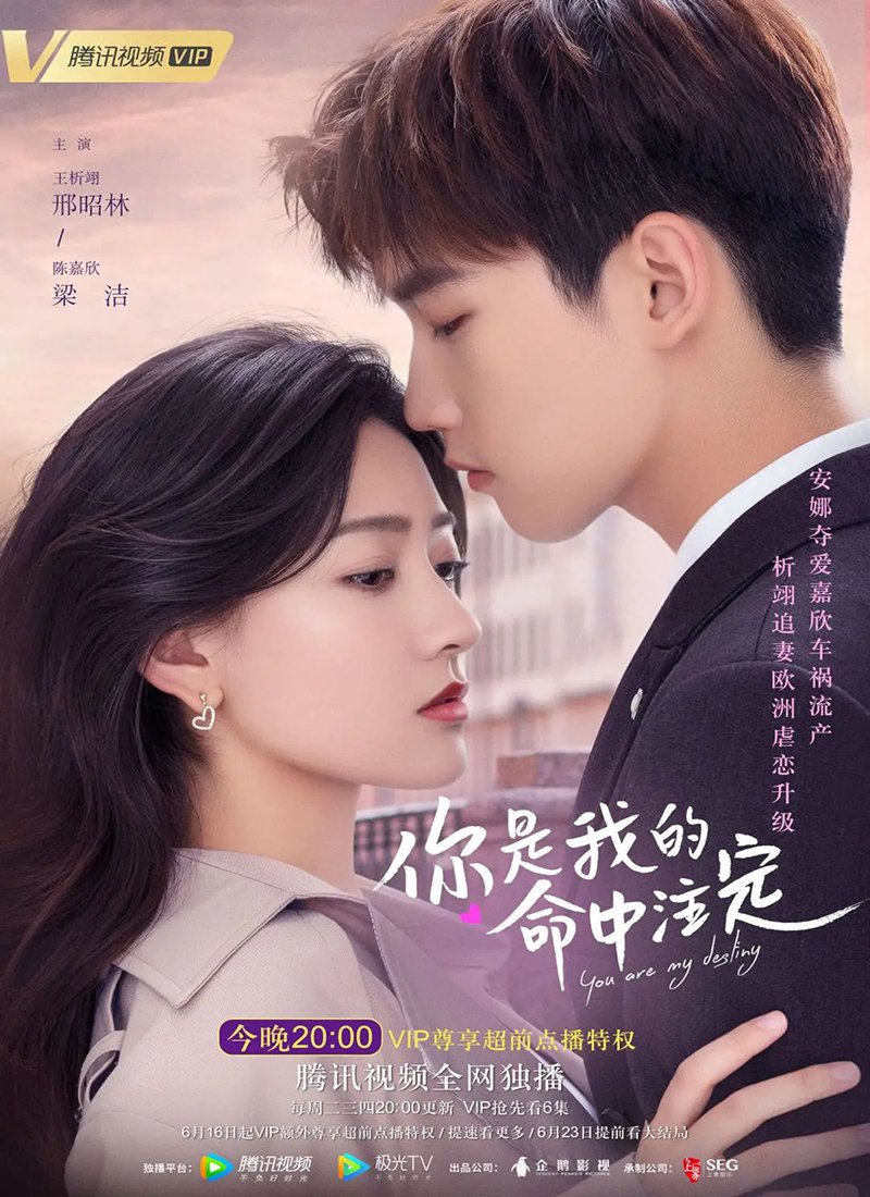 You Are My Destiny (2022 Chinese Drama)