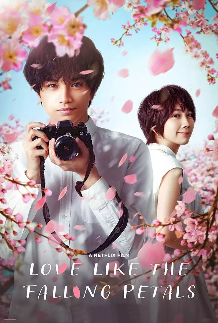 Love Like the Falling Petals (2022)